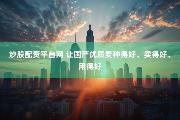 炒股配资平台网 让国产优质麦种得好、卖得好、用得好